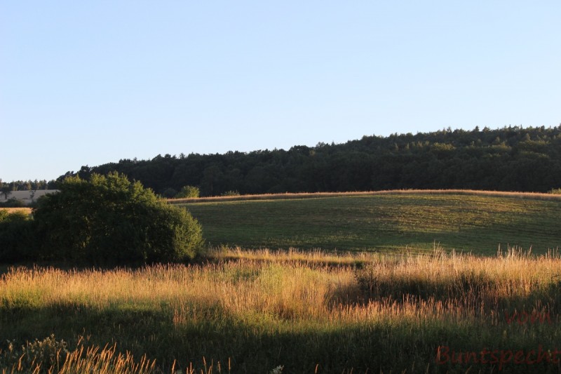 Bildla Nummära 013.jpg