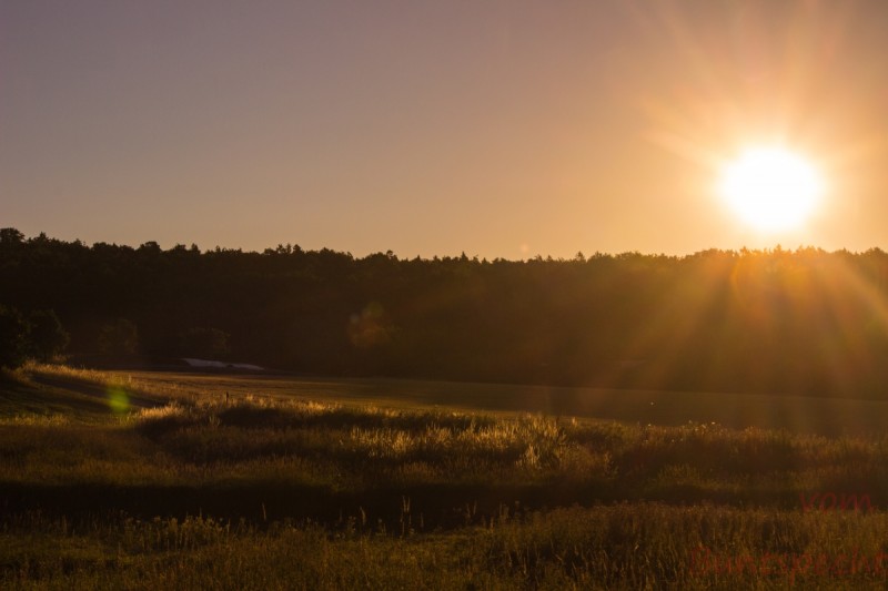 Bildla Nummära 014.jpg