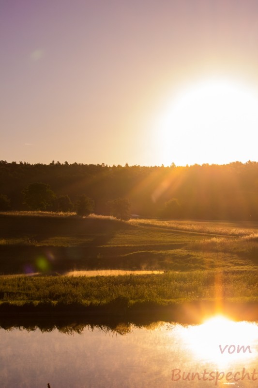 Bildla Nummära 016.jpg