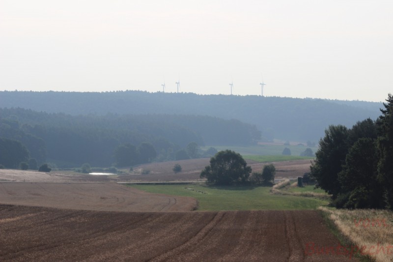 Bildla Nummära 003.jpg