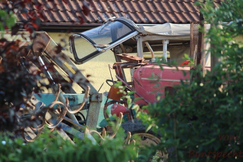 Bildla Nummära 004.jpg