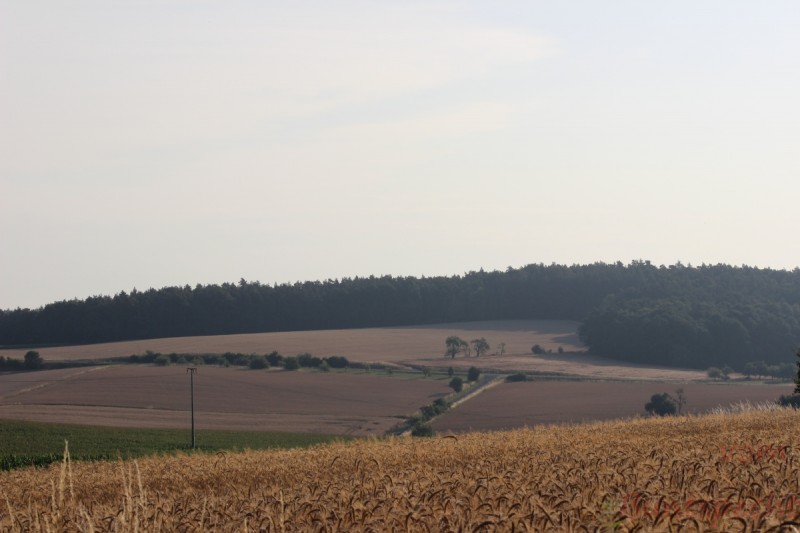 Bildla Nummära 005.jpg