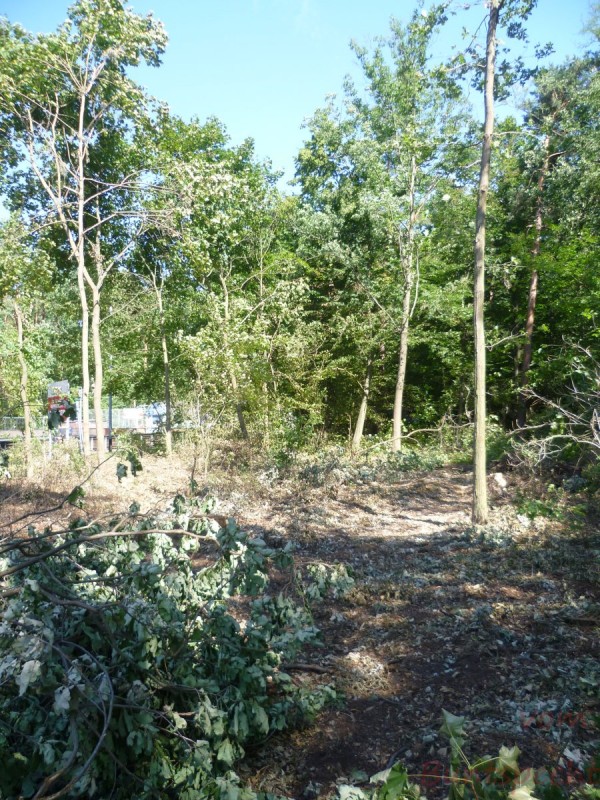 Bildla Nummära 002.jpg