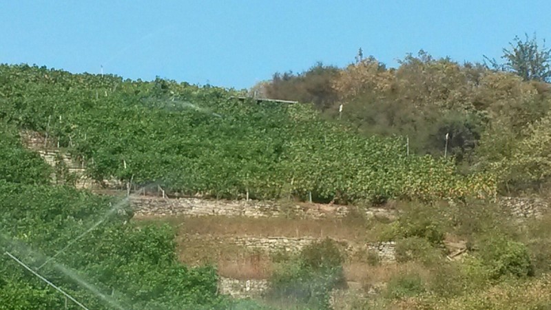 Regnerkreis rechts oben.jpg