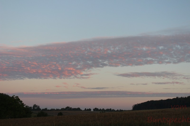 Bildla Nummära 002.jpg