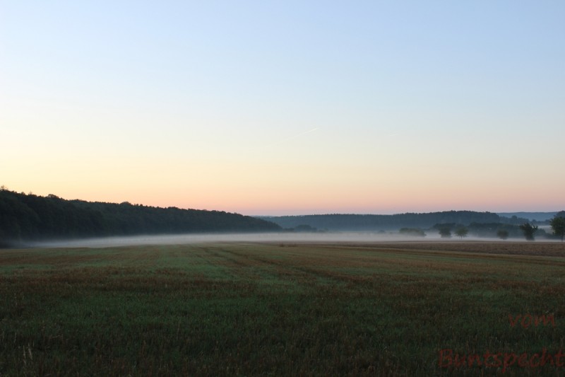 Bildla Nummära 004.jpg