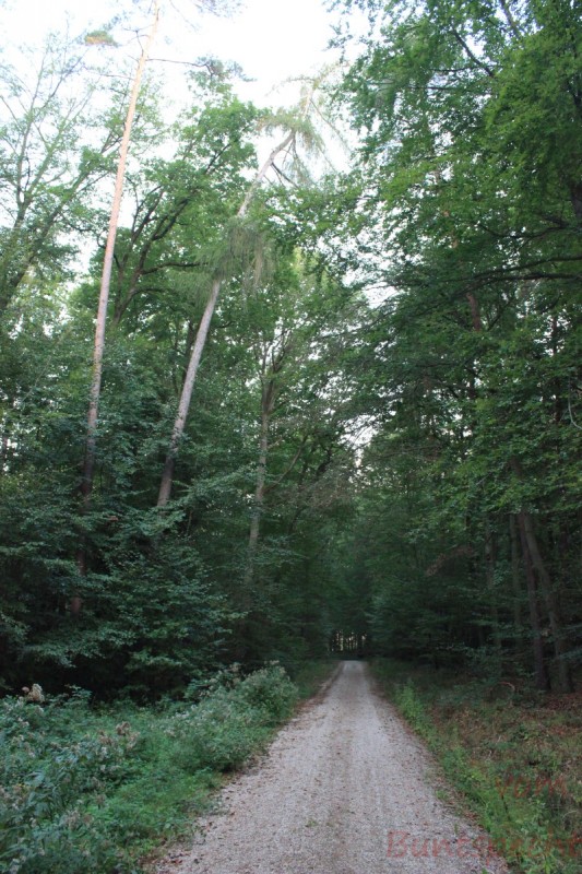 Bildla Nummära 005.jpg