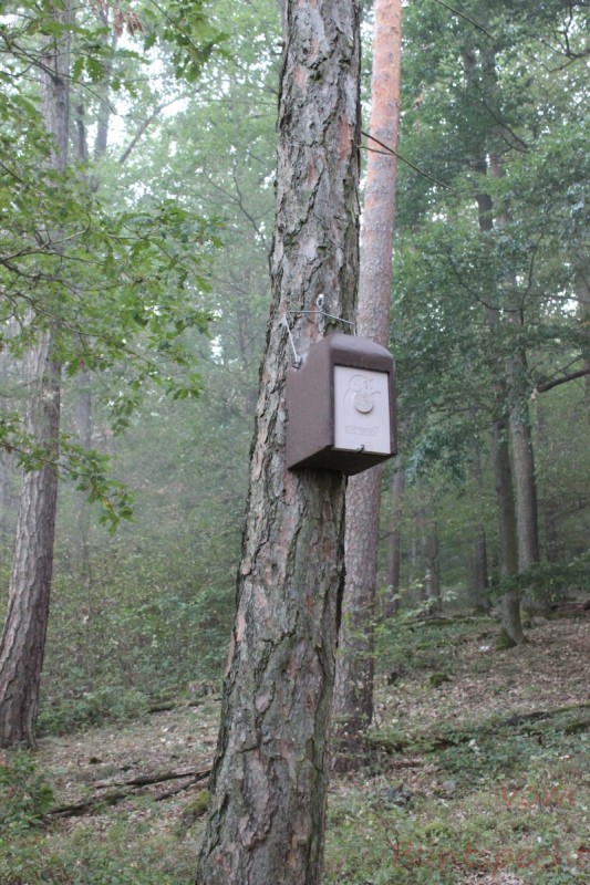 Bildla Nummära 007.jpg