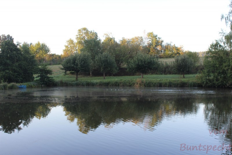 Bildla Nummära 009.jpg