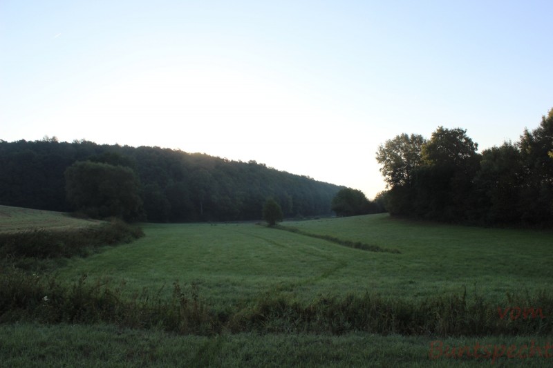 Bildla Nummära 010.jpg