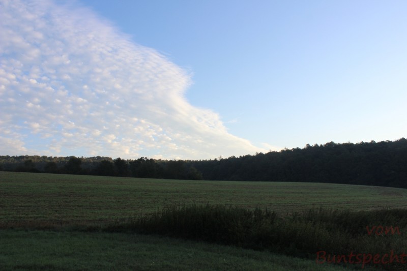 Bildla Nummära 011.jpg