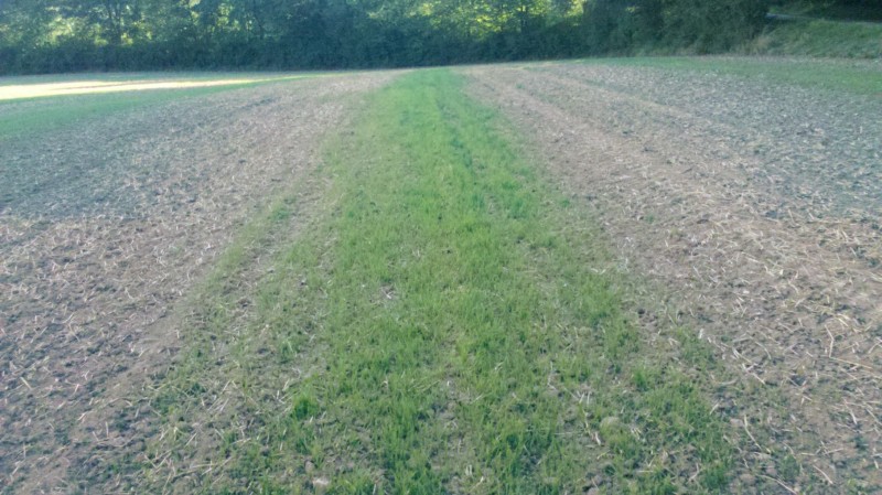 2015-08-31 GPS Ausfallwoaz 5.jpg