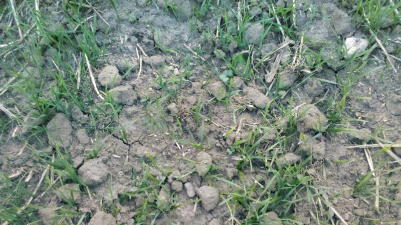 2015-08-31 GPS Ausfallwoaz 6.jpg