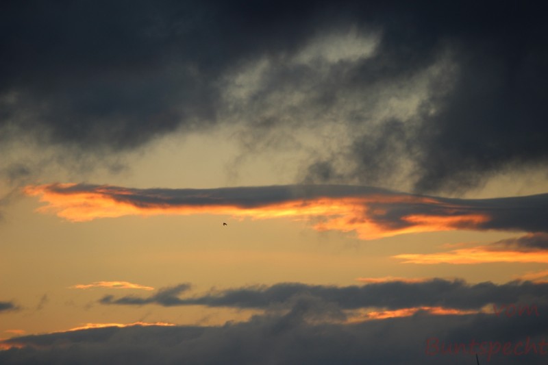 Bildla Nummära 001.jpg