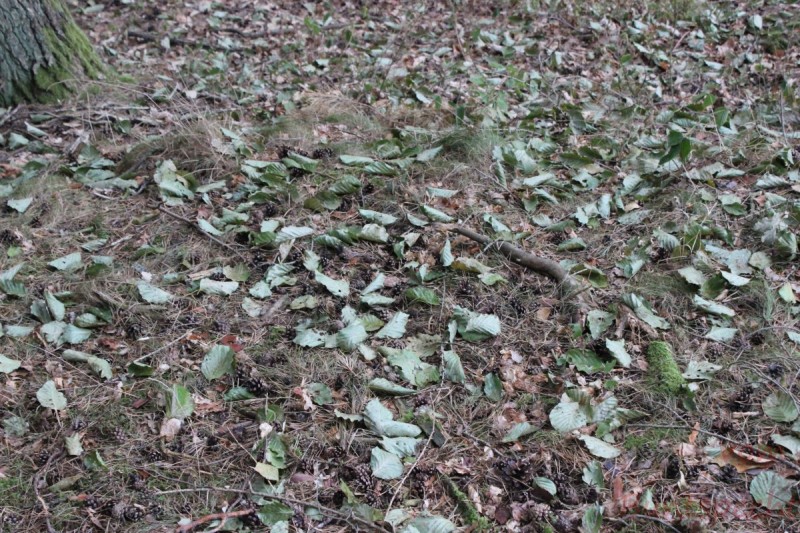 Bildla Nummära 002.jpg