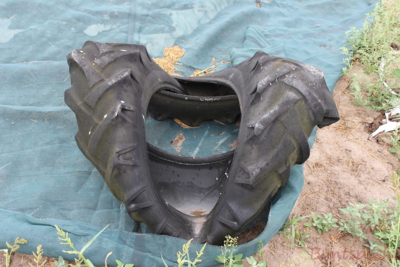 Bildla Nummära 003.jpg