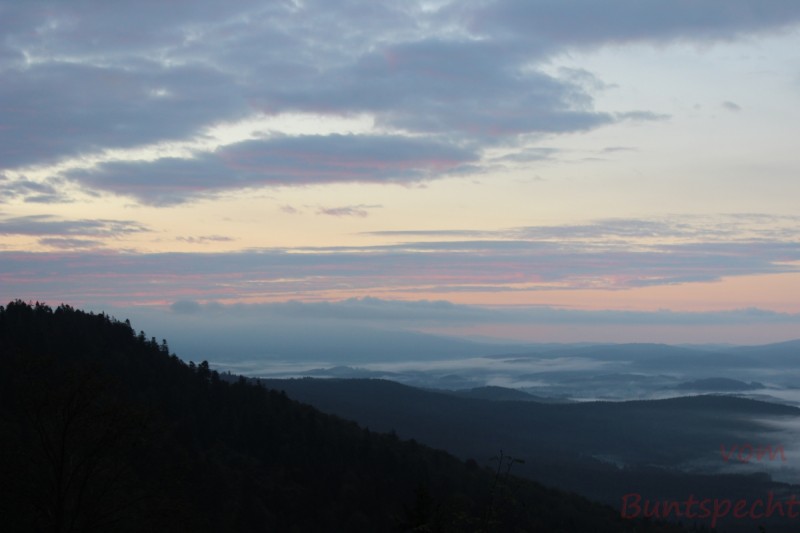 Bildla Nummära 005.jpg