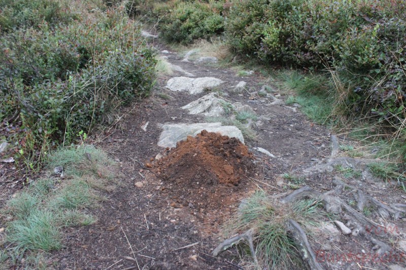 Bildla Nummära 008.jpg