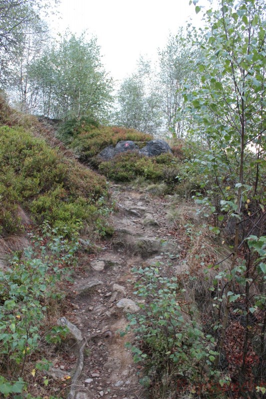 Bildla Nummära 009.jpg