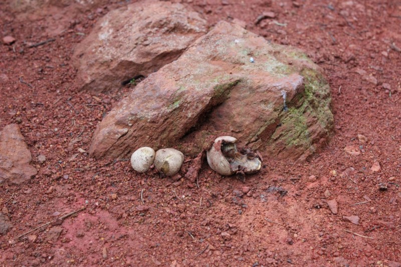 Bildla Nummära 010.jpg