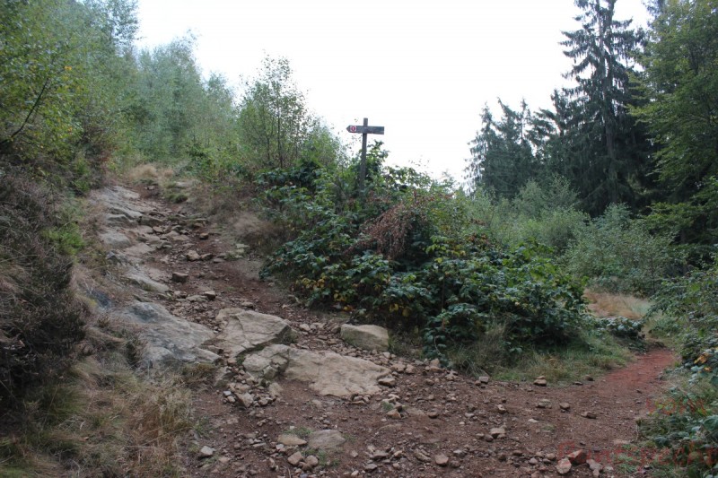 Bildla Nummära 011.jpg