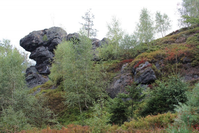 Bildla Nummära 015.jpg