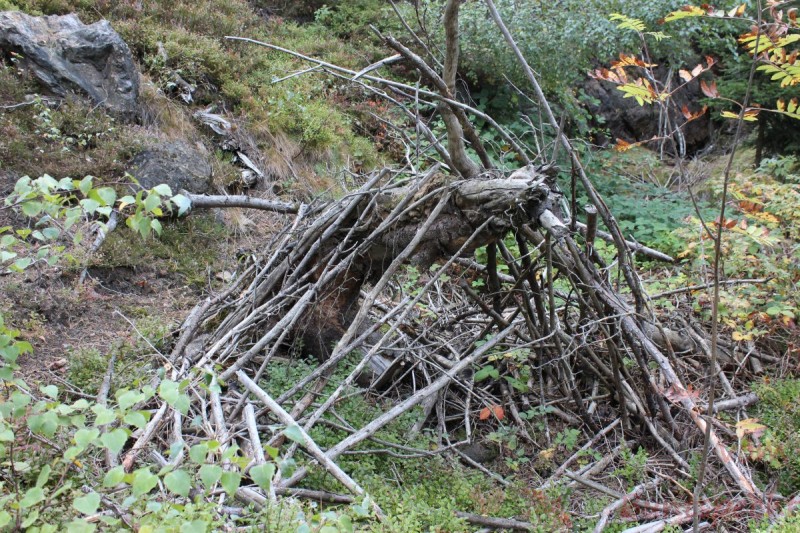 Bildla Nummära 016.jpg