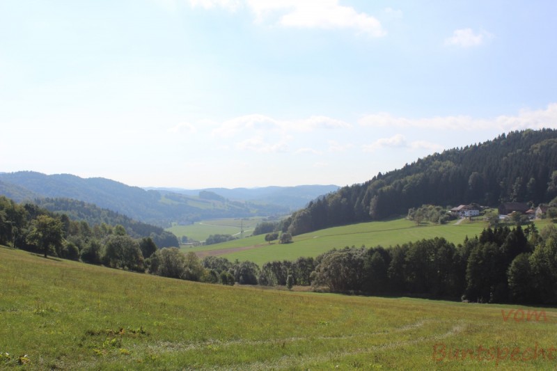 Bildla Nummära 018.jpg