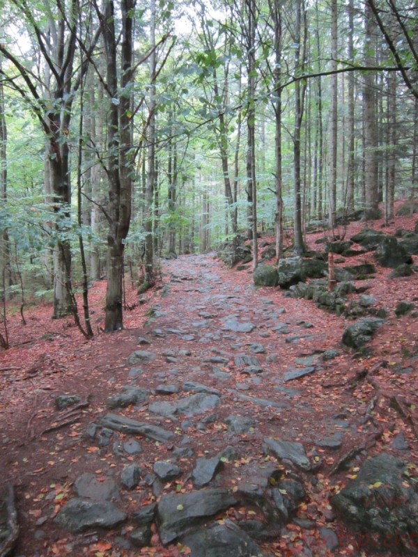 Bildla Nummära 001.jpg