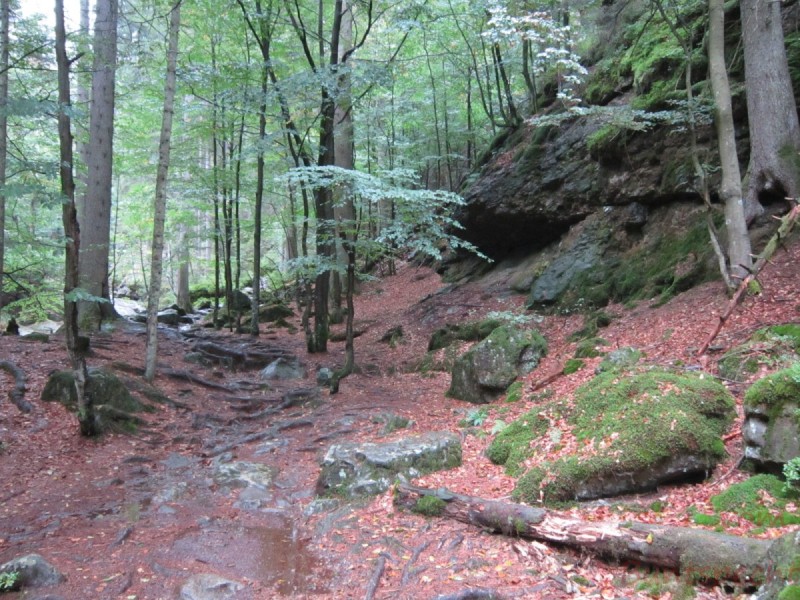 Bildla Nummära 002.jpg