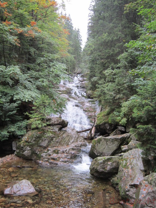 Bildla Nummära 003.jpg