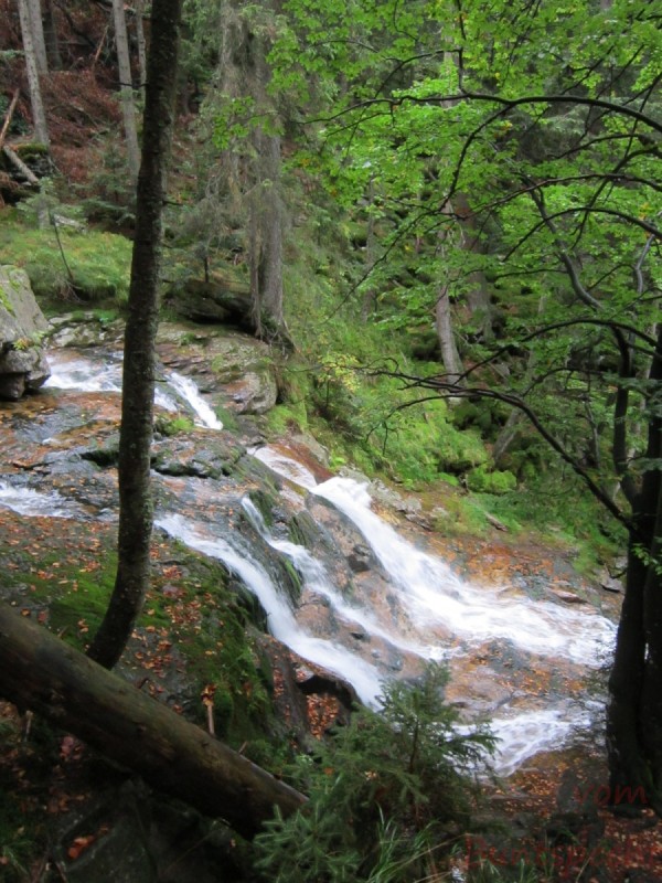 Bildla Nummära 004.jpg