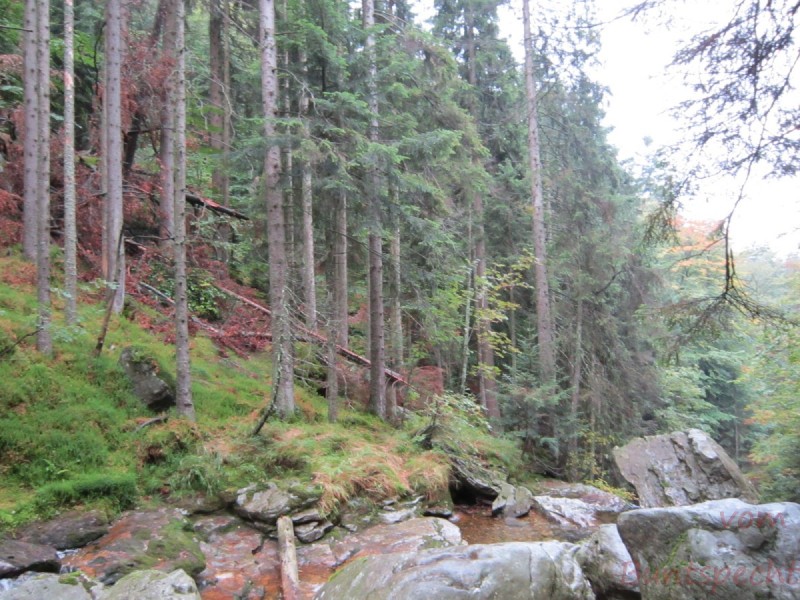 Bildla Nummära 005.jpg