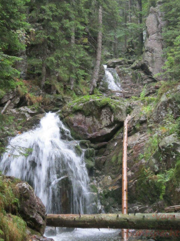 Bildla Nummära 006.jpg