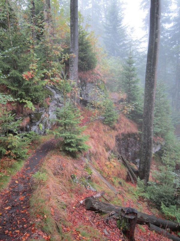 Bildla Nummära 009.jpg