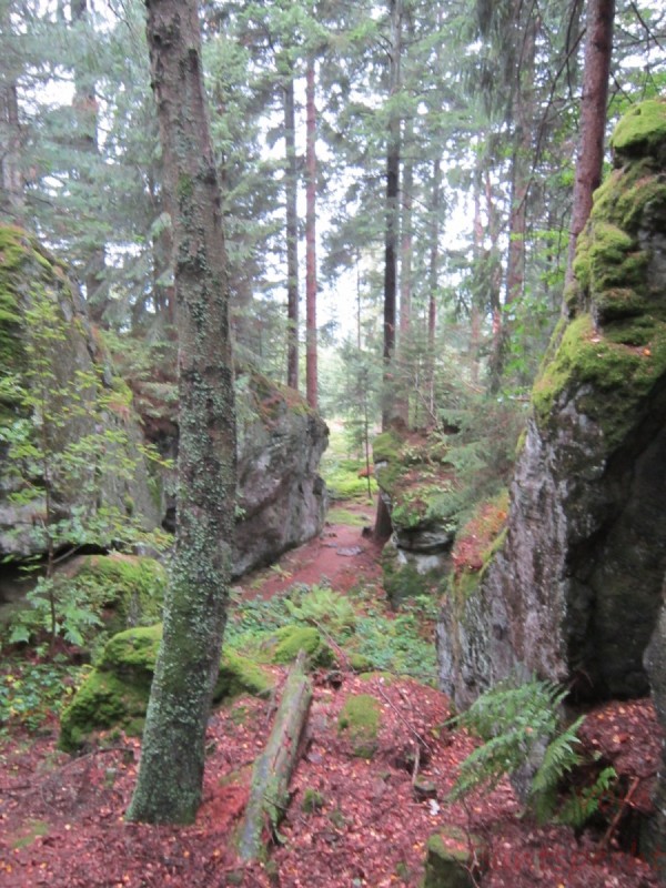 Bildla Nummära 010.jpg