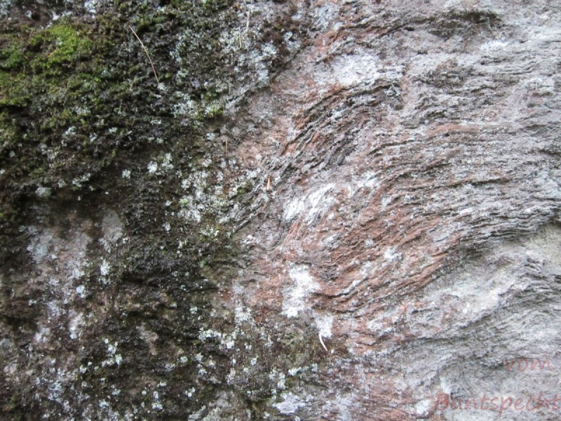 Bildla Nummära 011.jpg