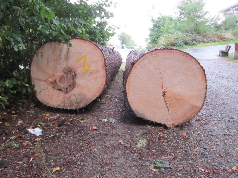 Bildla Nummära 013.jpg