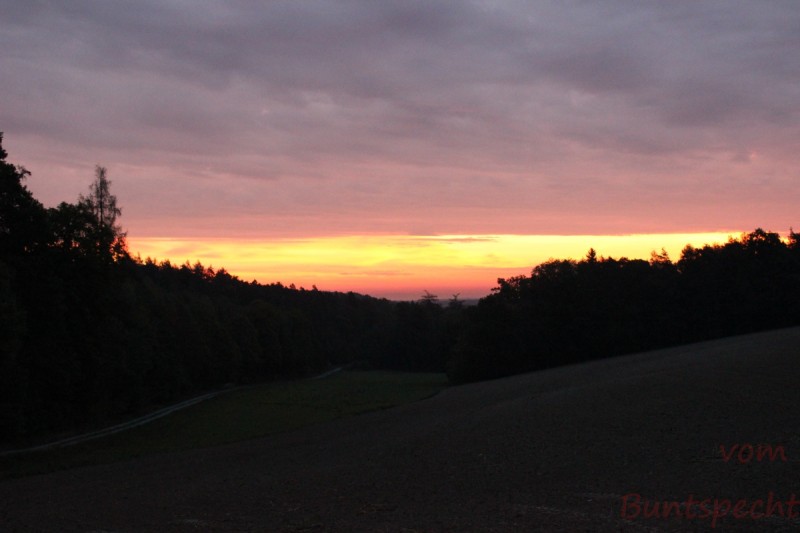 Bildle Nummära 001.jpg