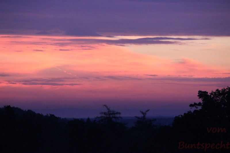 Bildle Nummära 002.jpg