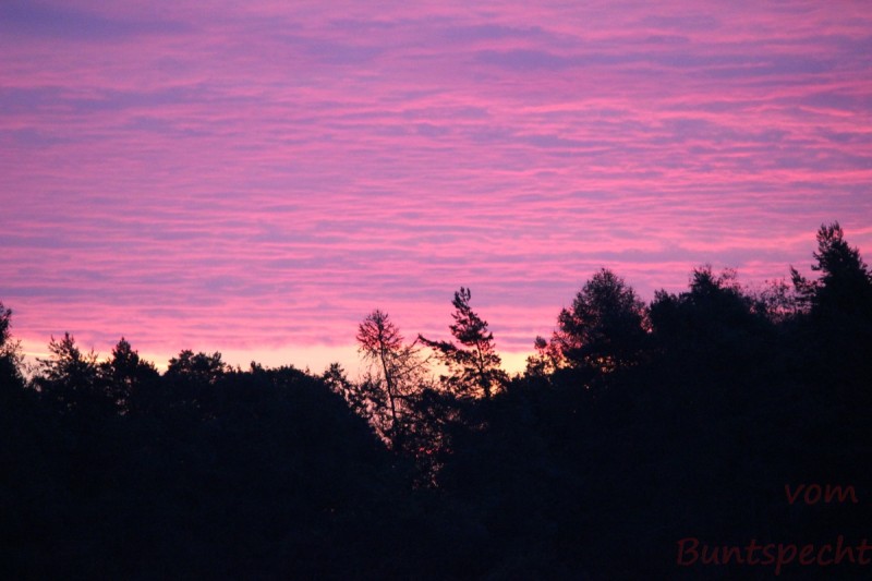 Bildle Nummära 003.jpg