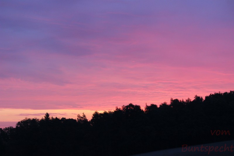 Bildle Nummära 004.jpg