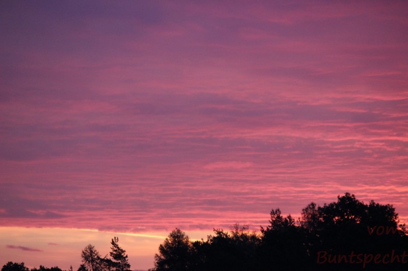 Bildle Nummära 005.jpg