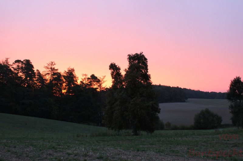 Bildle Nummära 007.jpg