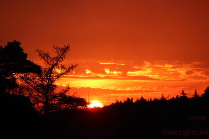 Bildle Nummära 008.jpg