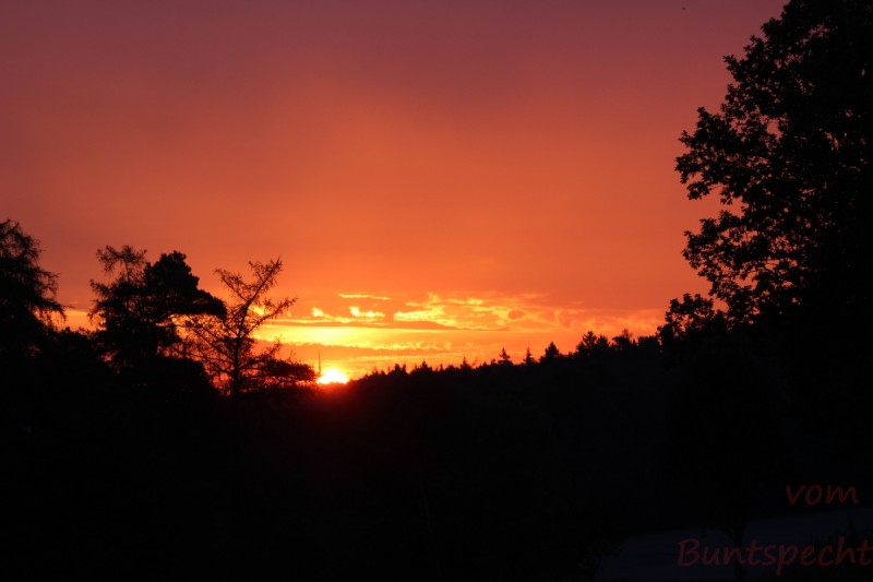 Bildle Nummära 009.jpg