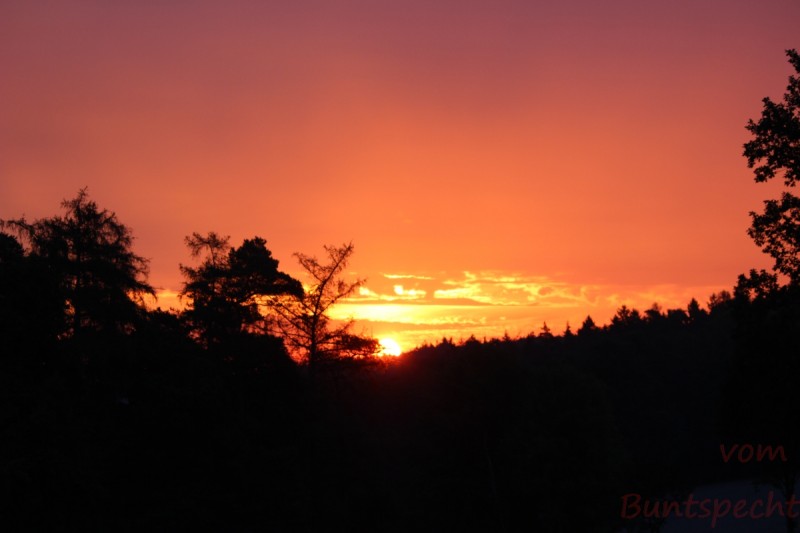 Bildle Nummära 010.jpg