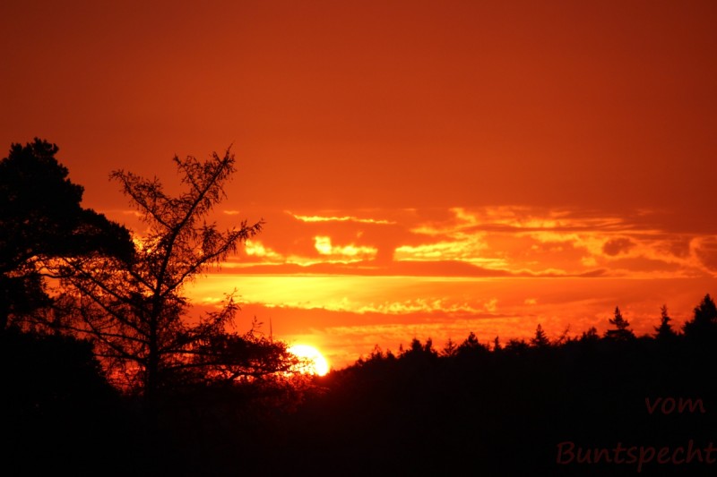 Bildle Nummära 011.jpg