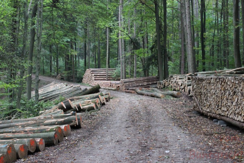 Bildle Nummära 013.jpg