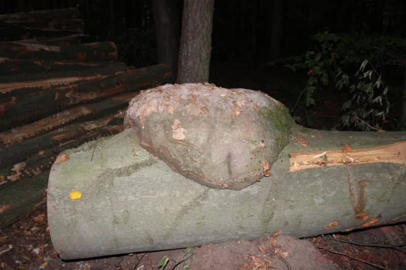 Bildle Nummära 014.jpg